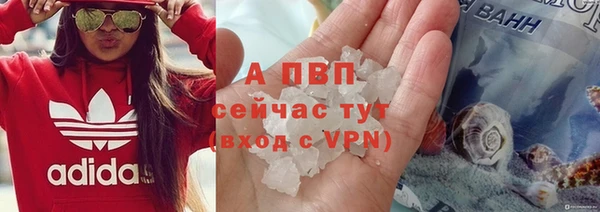 таблы Бородино
