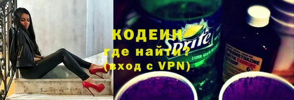 таблы Бородино