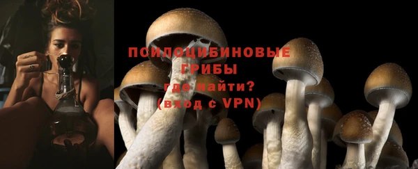 таблы Бородино