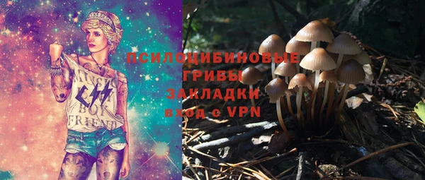 PSILOCYBIN Богородицк