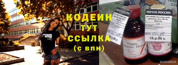 таблы Бородино