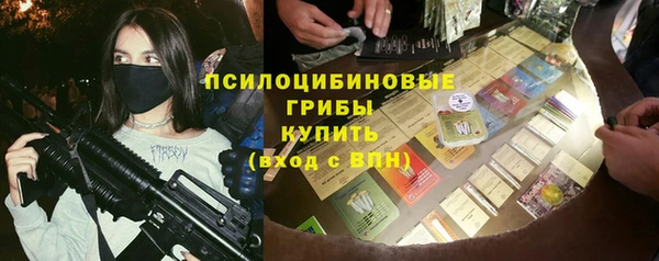 дживик Бронницы