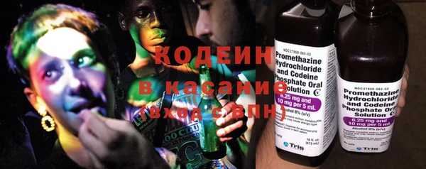 дживик Бронницы